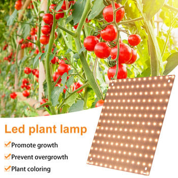 LED Grow Light 4000K пълен спектър Мощна фито лампа Водоустойчива лампа Светлина за отглеждане на растения за стайни цветя Зеленчуци