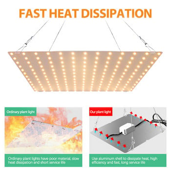 LED Grow Light 4000K пълен спектър Мощна фито лампа Водоустойчива лампа Светлина за отглеждане на растения за стайни цветя Зеленчуци