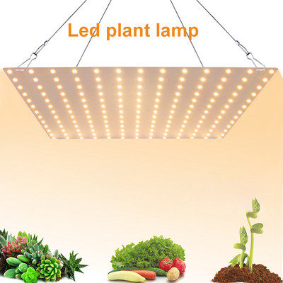 LED Grow Light 4000K пълен спектър Мощна фито лампа Водоустойчива лампа Светлина за отглеждане на растения за стайни цветя Зеленчуци