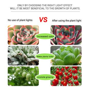 Πλήρους φάσματος LED Grow Light Αισθητήρας αφής λωρίδας LED USB Φωτιστικό φυτού φυτικής λάμπας για σκηνή καλλιέργειας λουλουδιών θερμοκηπίου