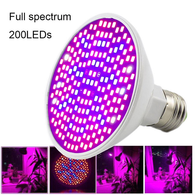 Täisspektriga 200 LED-i taimekasvatuspirn, kollane päikesevalgus siseruumide kasvuhooneköögiviljade jaoks. Cultivo fütovalgustid