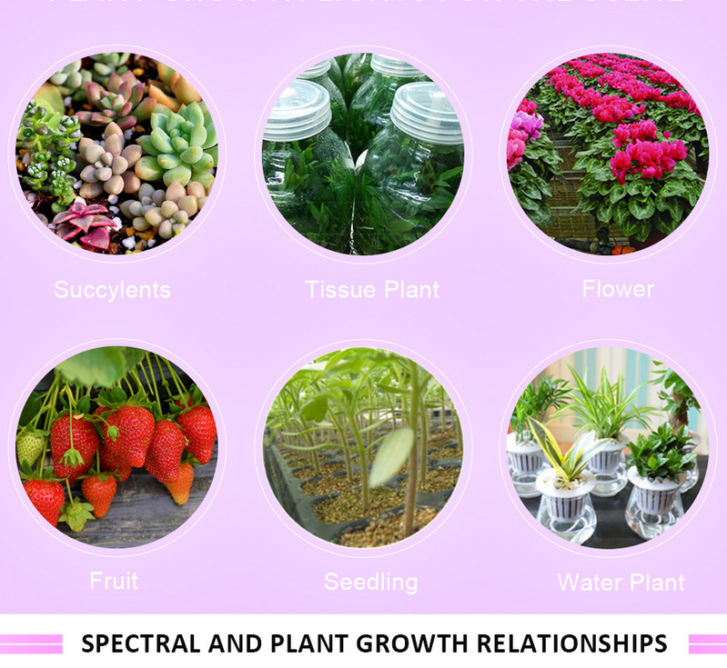 USB LED Plant Grow Light Lauavalgusti Taimekasvatus Lamp Avaleht Sisekasvuhoonetaimed Lilleseemned Kasvutelk Väikesed Tööriistad 5V 3W/14LED