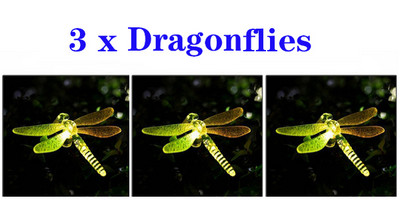 Kültéri napenergiával működő kerti dekorációs lámpa színváltó LED-es tájvilágítású vízálló madár pillangó szitakötős gyeplámpák