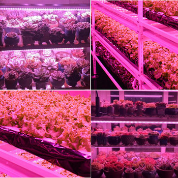 30 см LED тръбна лампа за отглеждане на цветя, кутия за палатка, осветителна оранжерия, 220 V, комплект хидро фито лампа, червено, розово, растително отглеждане на закрито