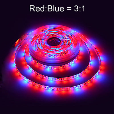 12V Grow Light Phytolamp Full Spectrum 5M 300 LED-uri 5050 SMD LED Strip pentru Semințe de Plante Cultivare Seră Interior Hidroponică