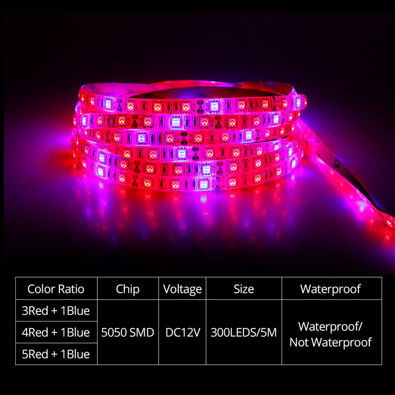 12V Grow Light Phytolamp Full Spectrum 5M 300 LED-uri 5050 SMD LED Strip pentru Semințe de Plante Cultivare Seră Interior Hidroponică