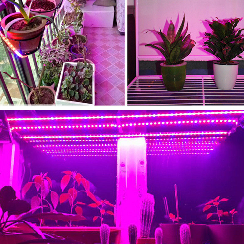 12V Grow Light Phytolamp Full Spectrum 5M 300 LED-uri 5050 SMD LED Strip pentru Semințe de Plante Cultivare Seră Interior Hidroponică