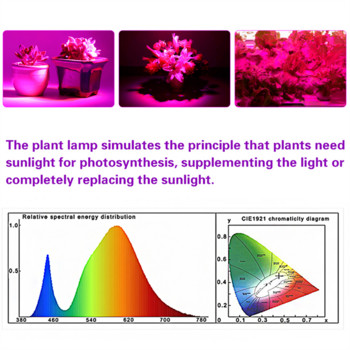 Led светлина за отглеждане на закрито Допълнителна светлина Лампи за отглеждане на растения Оранжерия Фито лампа Grow Червена и синя хидропонна светлинна лента