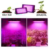 Lampă de creștere cu LED-uri cu spectru complet de 50 W și 100 W, cu priză UE și întrerupător, lampă fito IP65 pentru iluminatul de creștere a plantelor hidroponice cu efect de seră