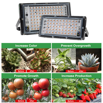50W 100W пълен спектър LED светлини за отглеждане с EU щепсел и превключвател IP65 фитолампа за оранжерийно хидропонно осветление за отглеждане на растения
