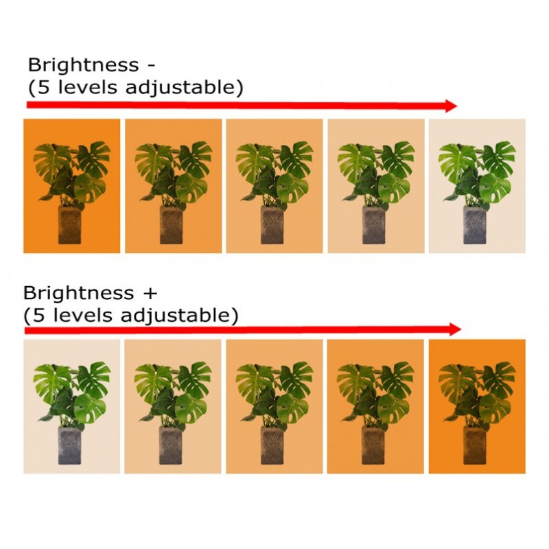 30/50 cm-es beltéri szabályozható LED Grow Light fitolámpa időzítő nagy teljesítményű hidroponikus készletekkel Teljes spektrumú lámpa beltéri termesztéshez