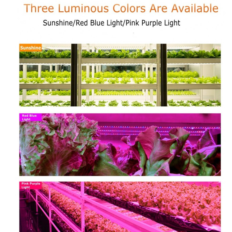 30/50 cm-es beltéri szabályozható LED Grow Light fitolámpa időzítő nagy teljesítményű hidroponikus készletekkel Teljes spektrumú lámpa beltéri termesztéshez