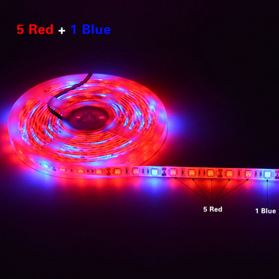5M vízálló LED fitolámpák szalag teljes spektrumú LED növekedési lámpa szalag beltéri fito lámpa virágokhoz zöldség magvak palánta lámpa