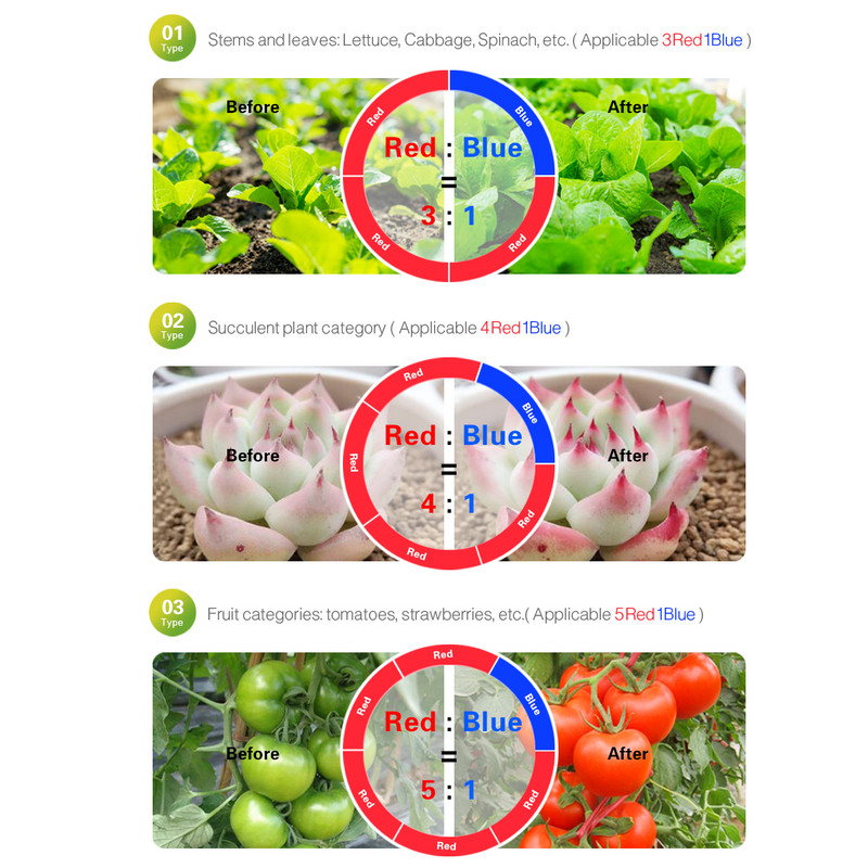 5M vízálló LED fitolámpák szalag teljes spektrumú LED növekedési lámpa szalag beltéri fito lámpa virágokhoz zöldség magvak palánta lámpa