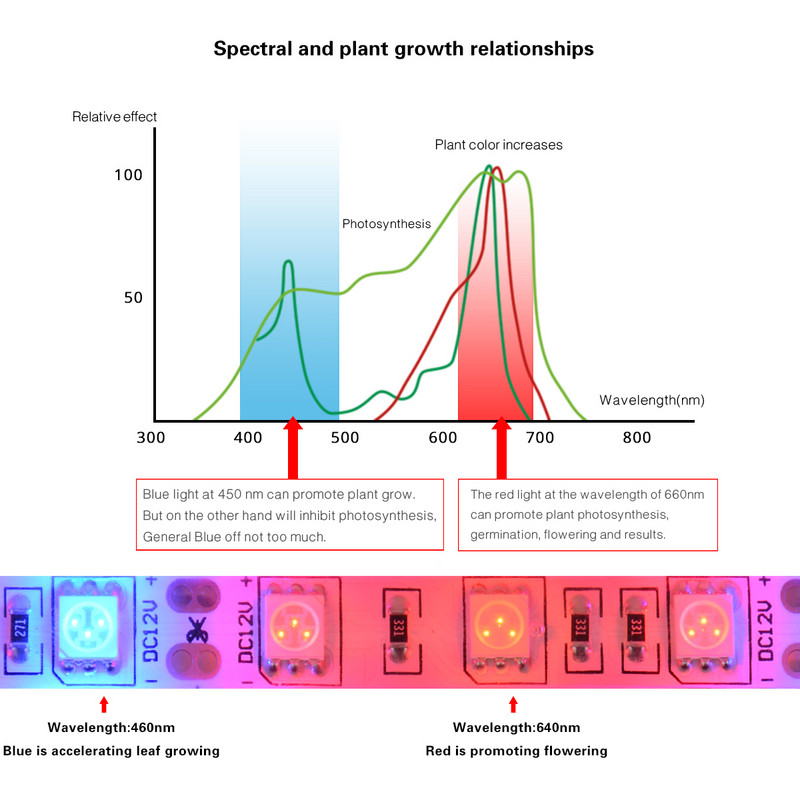 5M vízálló LED fitolámpák szalag teljes spektrumú LED növekedési lámpa szalag beltéri fito lámpa virágokhoz zöldség magvak palánta lámpa