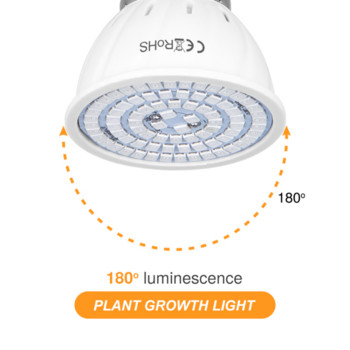 2PC LED Grow Light Крушка с пълен спектър E14 220V парникова хидропонна лампа Grow Light за стайни растения Phyto Flower Lamp 1Pc