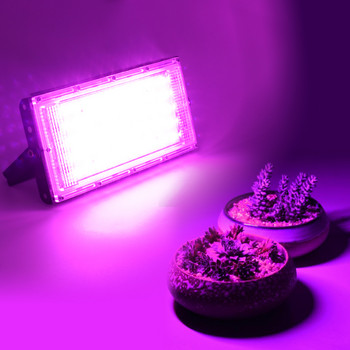 2PCS LED Grow Light Flood Light Reflector 50W 220V Park Garden Spotlight Външни прожектори Вътрешни оранжерийни растения Лампи