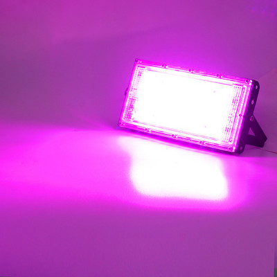 2 bucăți LED Grow Light Reflector de lumină de inundație 50W 220V Projector de grădină pentru parc Proiector de exterior Lămpi de plante cu seră de interior