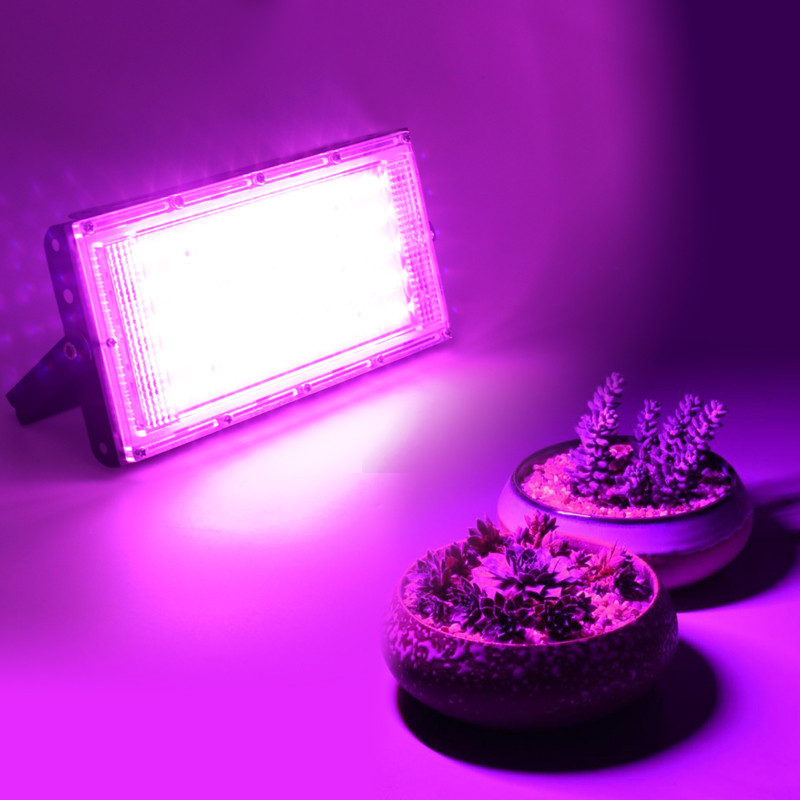 2 bucăți LED Grow Light Reflector de lumină de inundație 50W 220V Projector de grădină pentru parc Proiector de exterior Lămpi de plante cu seră de interior