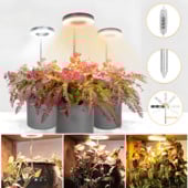 Lumini pentru răsaduri de interior cu LED-uri cu spectru complet de economisire a energiei pentru creștere a plantelor Lampă de iluminat Consum redus de energie Lămpi de creștere USB Phyto