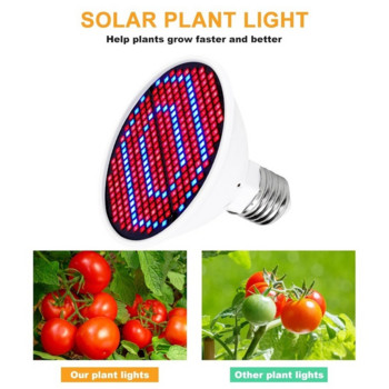 Κύπελλο Λάμπας Ανάπτυξης Φυτών Κόκκινο και Μπλε Πλήρες Φάσμα Εσωτερικής Φύτευσης E27 Χάντρες λυχνίας πολλαπλών προδιαγραφών 2835 Photosynthesis