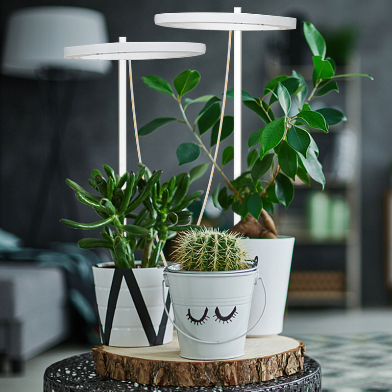 Lumină mică de creștere cu LED Mini lampă de creștere de birou Lampă de creștere pentru plante de interior Lampă de creștere cu capete inelare LED pentru seră hidroponică