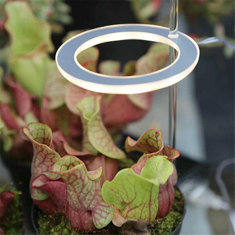 Angel Ring Plant Grow Light 5V USB fitolampa augiem Led pilna spektra lampa iekštelpu puķēm siltumnīcas stādiem mājas zieds