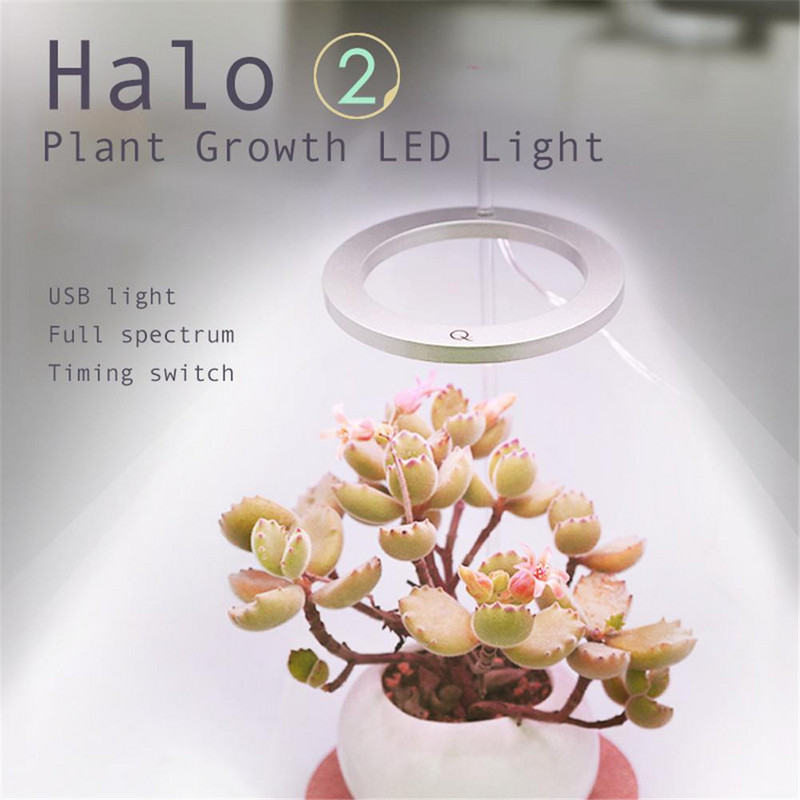 Angel Ring Plant Grow Light 5V USB fitolampa augiem Led pilna spektra lampa iekštelpu puķēm siltumnīcas stādiem mājas zieds