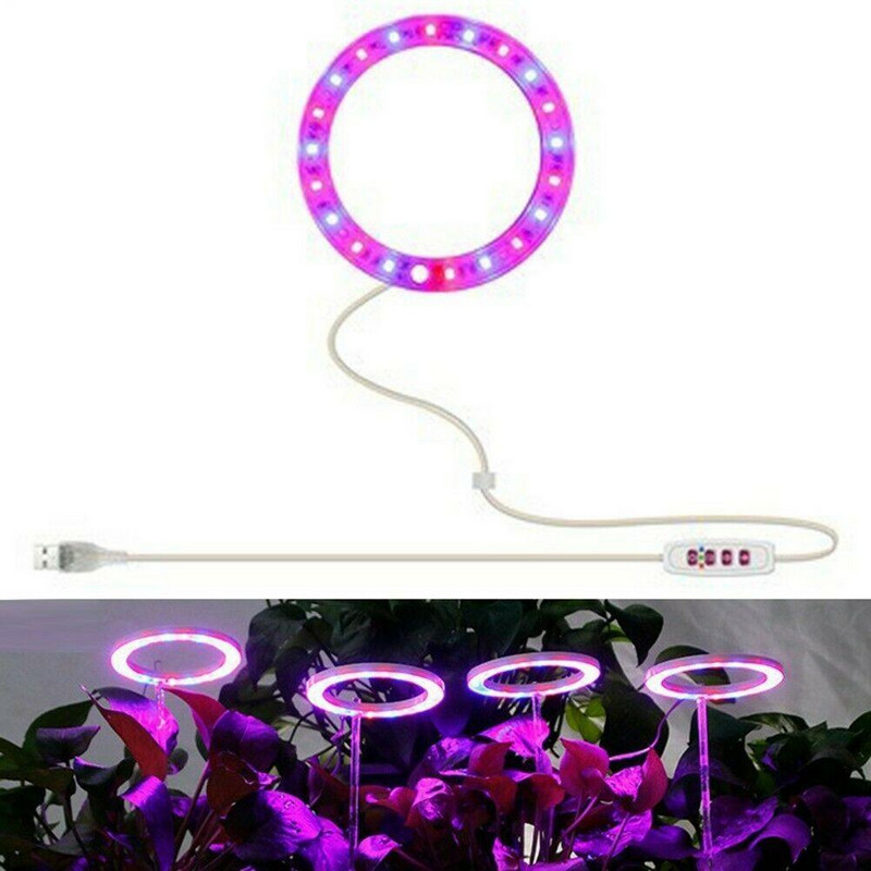 Angel Ring Plant Grow Light 5V USB fitolampa augiem Led pilna spektra lampa iekštelpu puķēm siltumnīcas stādiem mājas zieds