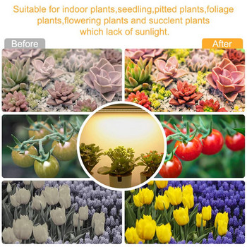 Вътрешна LED светлина за отглеждане, USB таймер, лампа за фито растеж на растения, 5 режима, регулируем пълен спектър за оранжерийно растение, сукулентно цвете