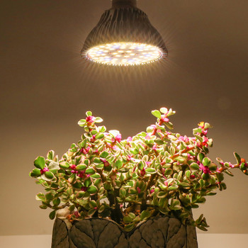 78 LED растителна фитолампа 50 W Grow Light пълен спектър топла лампа за растеж Led за цветя семена вътрешна Growbox