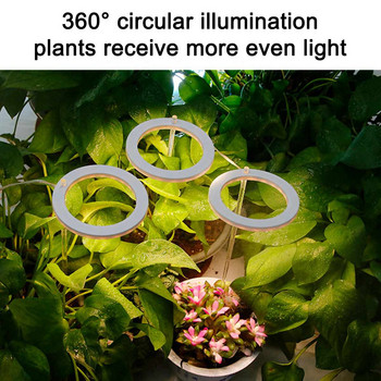 Φώτα LED Ring Grow Light DC5V USB Full Spectrum Phytolamp Λαμπτήρες καλλιέργειας Φωτισμός Οικιακά φυτά Σπορόφυτα Ανάπτυξη Λουλούδι εσωτερικού χώρου