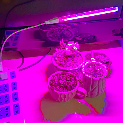LED teljes spektrumú növényi lámpa USB növekedési lámpa rugalmas LED növekedési lámpa fitolámpa virágpalánta hidroponikus világítás fitolampy