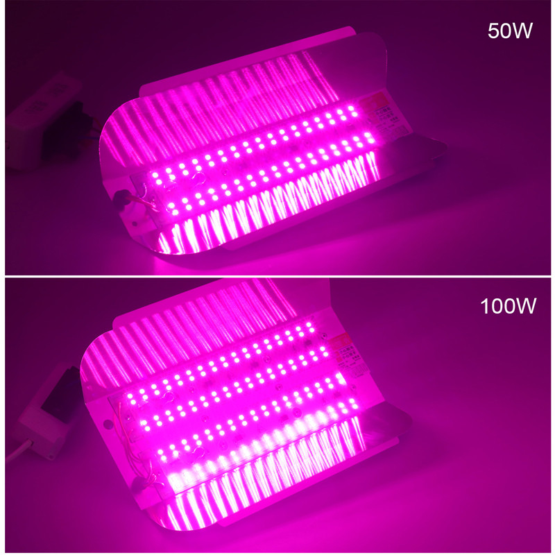 50/100W lieljaudas COB LED Grow Light Pilna spektra ūdensizturīgs ziediem dārzeņiem stādiem siltumnīcas augiem fitolampy jauns