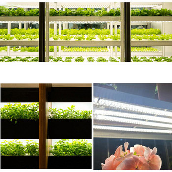 220V LED Φυτικό λουλούδι Grow light sunlight σωλήνας Phyto λάμπα κουτί σκηνής Ελαφρύ θερμοκήπιο 220V υδραυλικό κιτ λαχανικών Εσωτερικός κήπος s1
