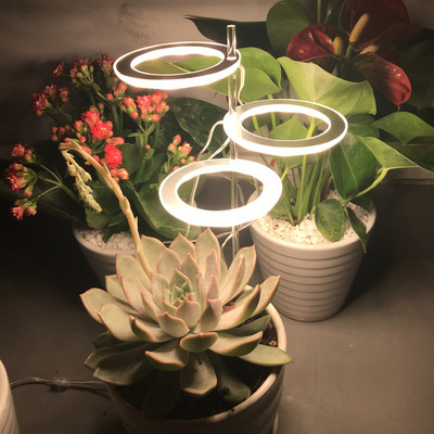 Angel Ring Light 5V USB fütolamp taimede täisspektriga LED-minikasvatuslamp siseruumide seemikute jaoks kodus lille succulet