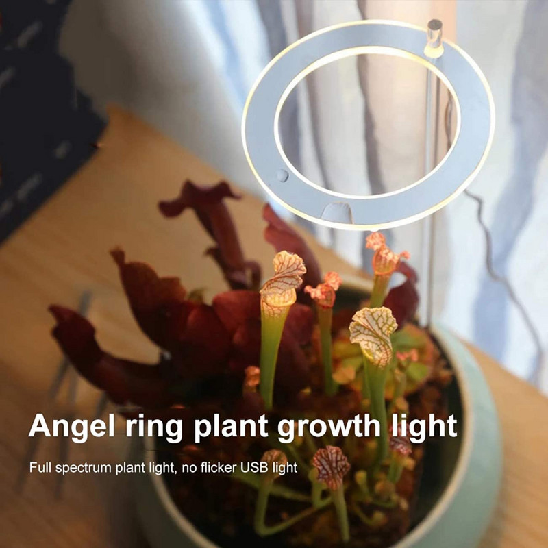 Angel Ring Light 5V USB fütolamp taimede täisspektriga LED-minikasvatuslamp siseruumide seemikute jaoks kodus lille succulet
