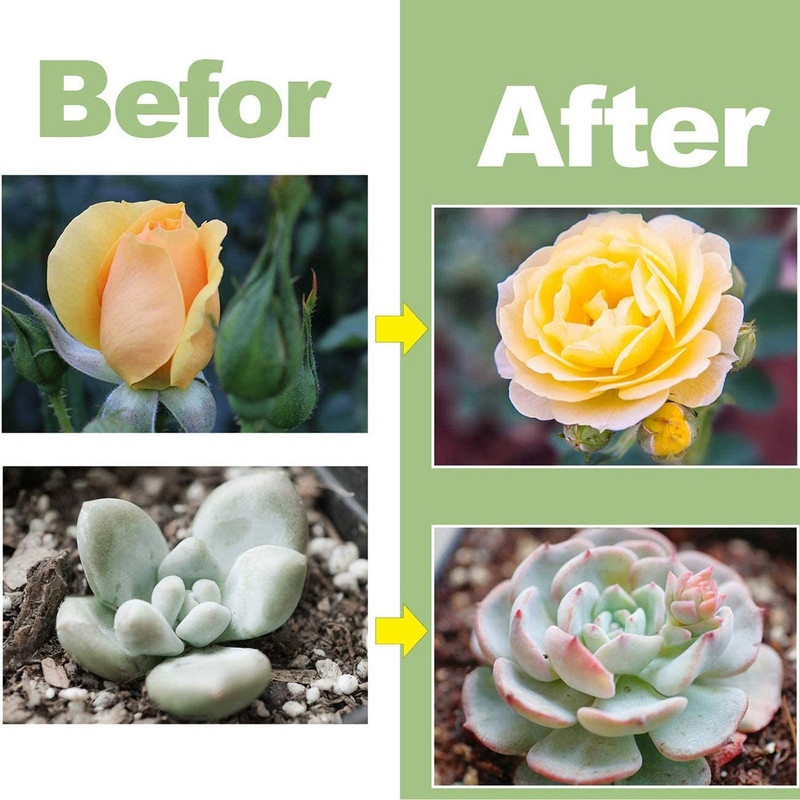 Angel Ring Light 5V USB fütolamp taimede täisspektriga LED-minikasvatuslamp siseruumide seemikute jaoks kodus lille succulet