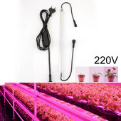 30cm LED Taimelille Grow toru lambi telkkast Valguskasvatus Kasvuhoone 220V hüdro Phyto lambi komplekt punane roosa Köögivili Toakasvatus