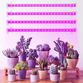 Benzi de lumină LED pentru creștere cu spectru complet, temporizator reglabil, lampă fito USB pentru răsaduri de plante de interior, cutie de creștere a cortului de flori