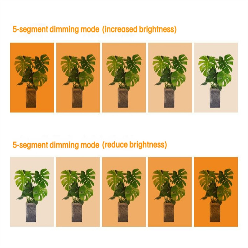 Benzi de lumină LED pentru creștere cu spectru complet, temporizator reglabil, lampă fito USB pentru răsaduri de plante de interior, cutie de creștere a cortului de flori