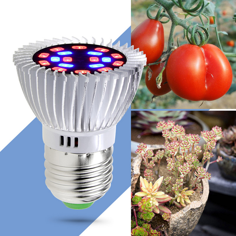 fütolamp Led Grow Light E14 Fito LED 220V lambipirn taimede kasvatamiseks E27 hüdropoonika LED kasvulamp 20W valgustus kasvuhooned