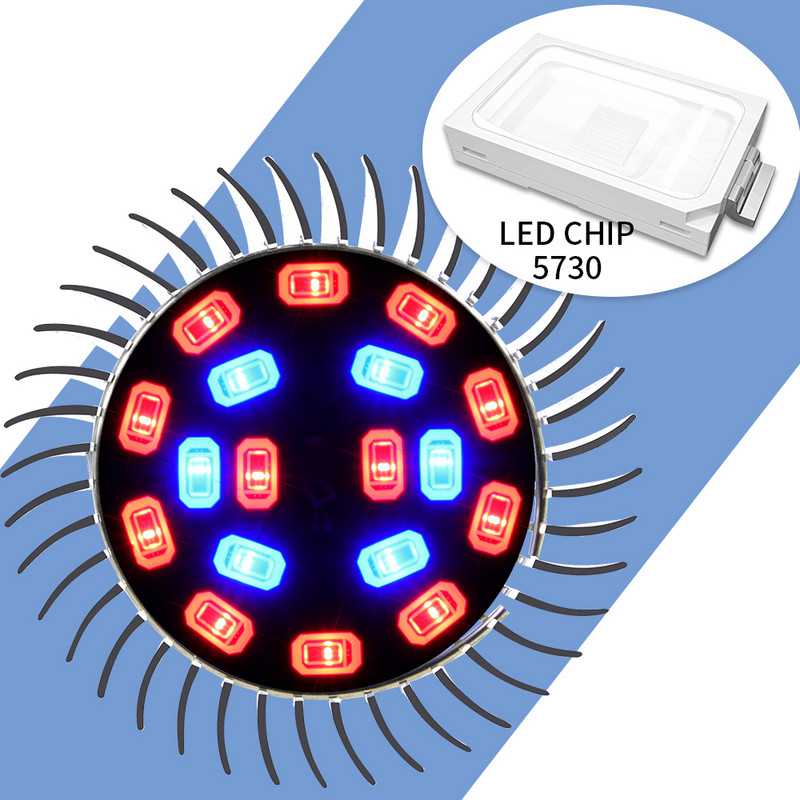 fütolamp Led Grow Light E14 Fito LED 220V lambipirn taimede kasvatamiseks E27 hüdropoonika LED kasvulamp 20W valgustus kasvuhooned