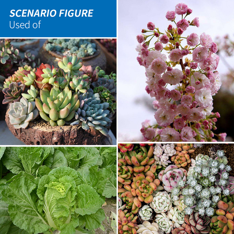 fütolamp Led Grow Light E14 Fito LED 220V lambipirn taimede kasvatamiseks E27 hüdropoonika LED kasvulamp 20W valgustus kasvuhooned