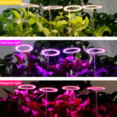 1-4 Angel Ring Grow Light növényekhez Led teljes spektrumú lámpa DC5V USB fitolámpa beltéri növények palántákhoz Home Virág Succculet