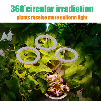 1-4 Angel Ring Grow Light For Plants Led Full Spectrum Lamp DC5V USB Phytolamp For Indoor Plant Seedlings Home Flower Succulet