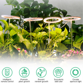 1-4 Angel Ring Grow Light For Plants Led Full Spectrum Lamp DC5V USB Phytolamp For Indoor Plant Seedlings Home Flower Succulet