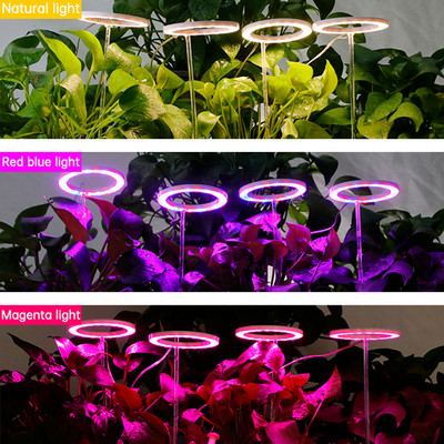 1-4 Angel Ring Grow Light For Plants Led Full Spectrum Lamp DC5V USB Phytolamp For Indoor Plant Seedlings Home Flower Succulet