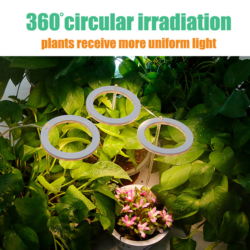 1-4 Angel Ring Grow Light növényekhez Led teljes spektrumú lámpa DC5V USB fitolámpa beltéri növények palántákhoz Home Virág Succculet