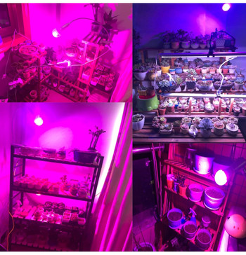 Grow LED Light Bulb for Indoor Plants Full Spectrum E27 Led PhytoLamp 220V UV Lamp for Hydroponic Growth Light for Seedlings